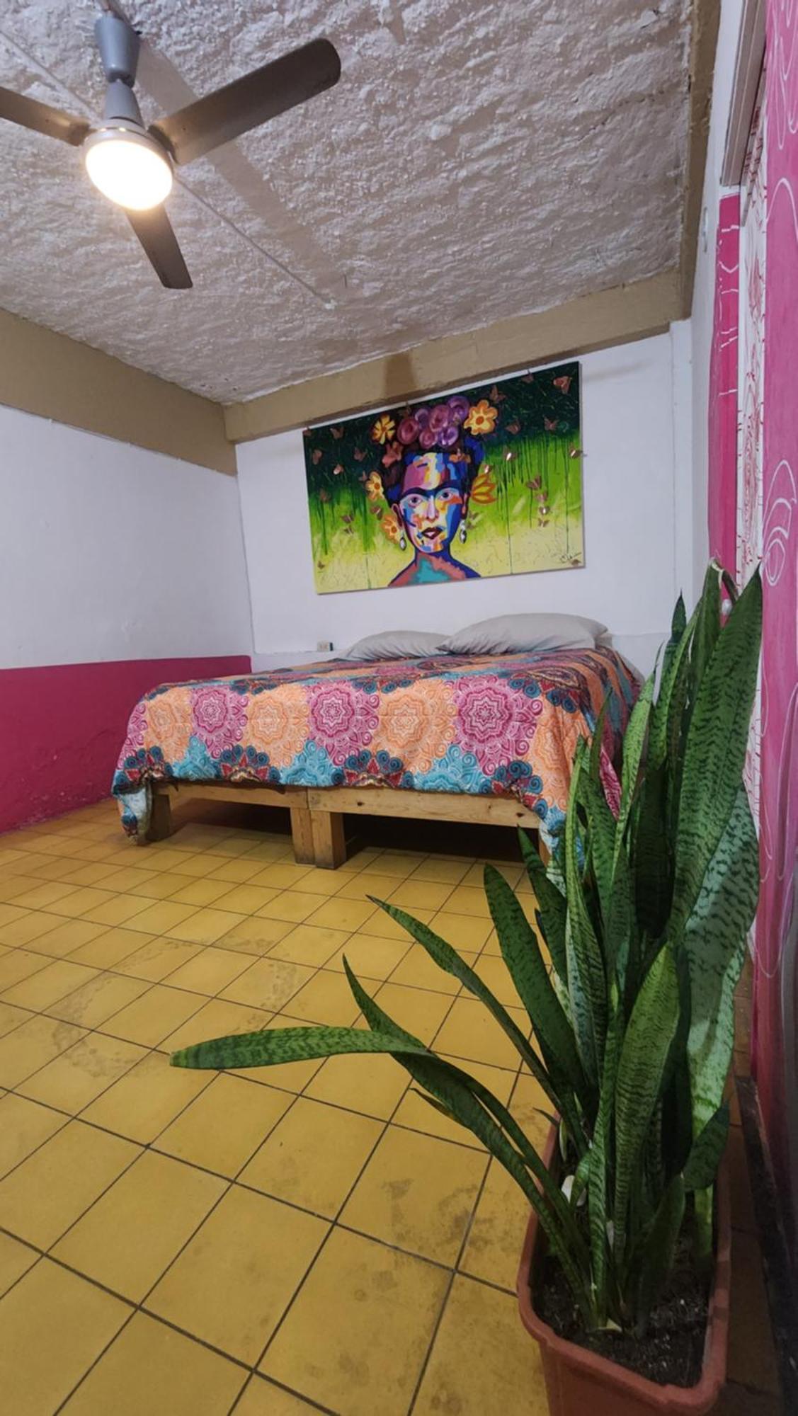 Hostel Vallarta (Adults Only) Puerto Vallarta Ngoại thất bức ảnh